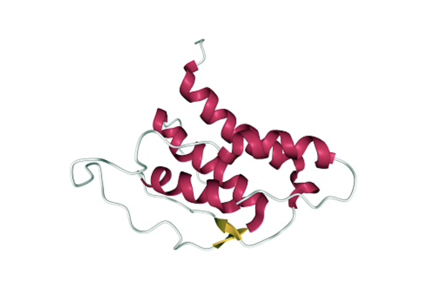 8. tDCS and NK cell-related research